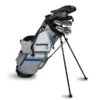 Left Hand TS5-66 10 Club Stand Set Graphite, Silver/White/Blue Bag